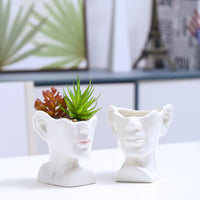 Nordic Succulent Plant Pot